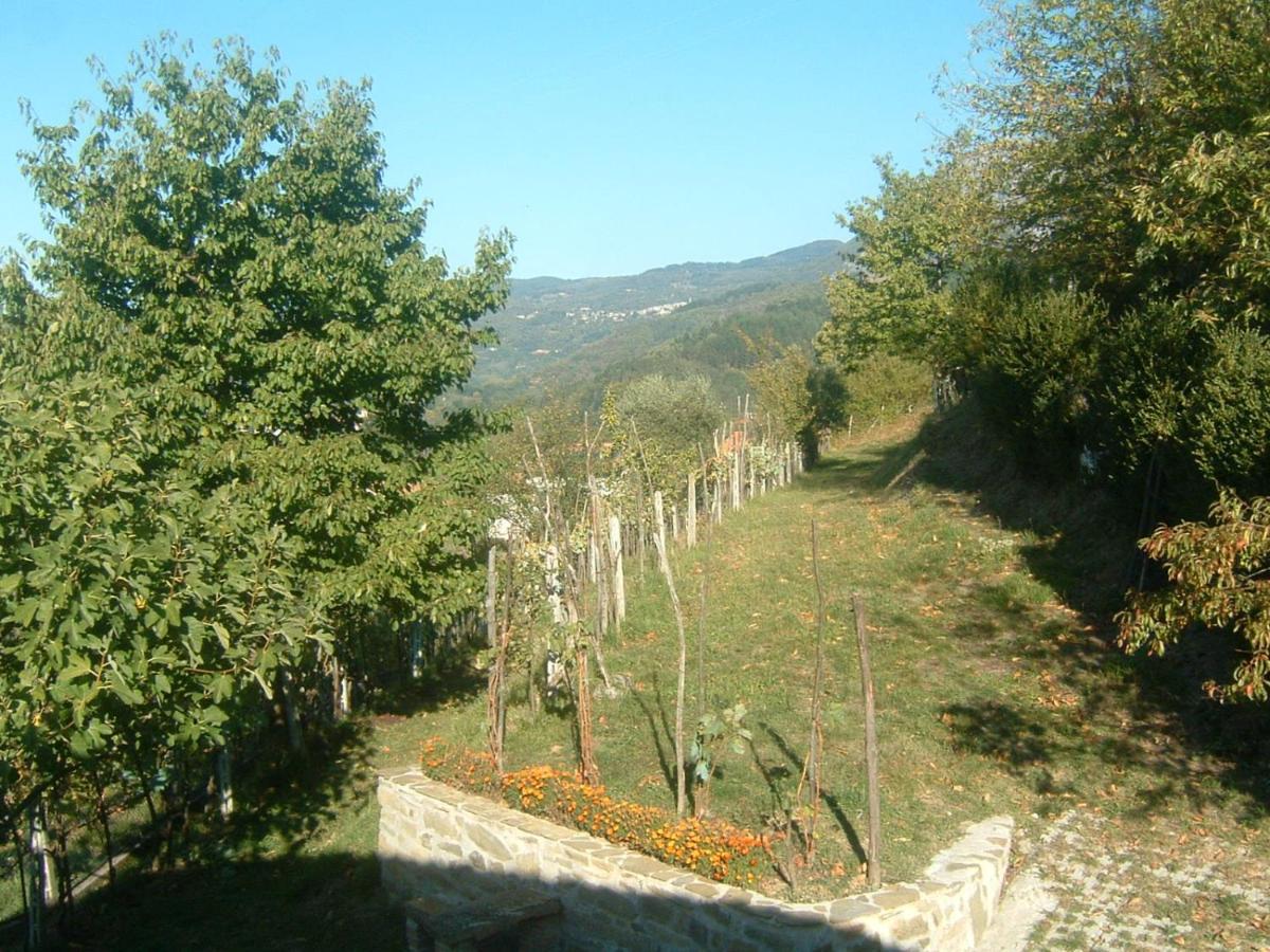 Il Casale Di Rolando Apartment Castiglione di Garfagnana Exterior photo