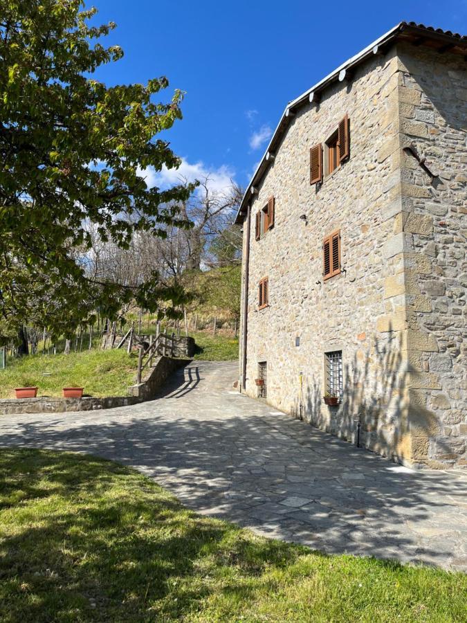 Il Casale Di Rolando Apartment Castiglione di Garfagnana Exterior photo