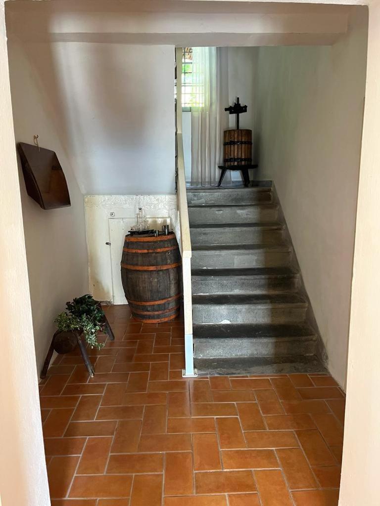 Il Casale Di Rolando Apartment Castiglione di Garfagnana Exterior photo